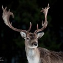 DSC05366_1_small