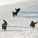 DSC04936_1