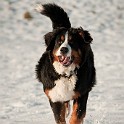 DSC04988_1
