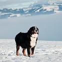 DSC05079_1