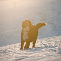 DSC05304_1