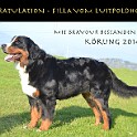 Filla2014Koerung