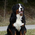 Filla_vom_Luitpoldhof_636