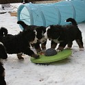 IMG_0315