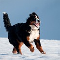 DSC05010_1