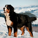 DSC05204_1