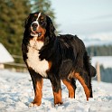 DSC05212_1