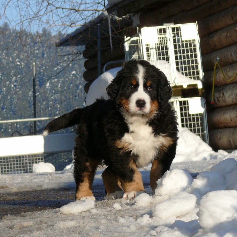 lila_P1210526