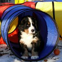 lila_S_P1210589