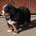 IMG_0247