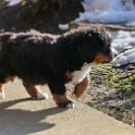 IMG_0725