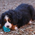 IMG_0269
