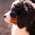 IMG_0303