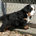 Peggy